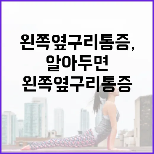 왼쪽 옆구리 통증, 알아두면 좋은 관리 방법 - 요약