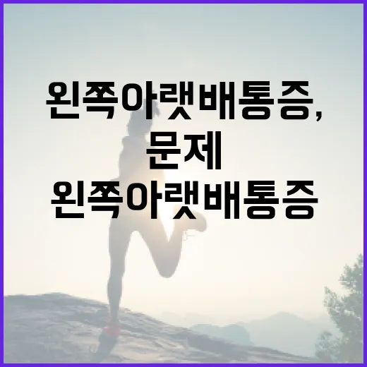 왼쪽 아랫배 통증, 무엇이 문제일까요? - 요약