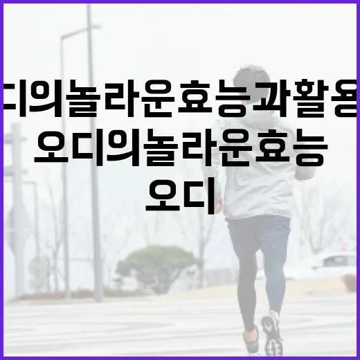 오디의 놀라운 효능과 활용법 - 요약