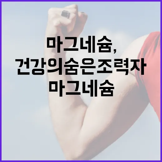 마그네슘, 이렇게 활용해 보세요: 건강의 숨은 조력자 - 요약
