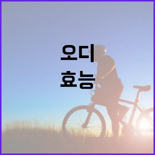 오디의 효능을 제대로 알면 건강이 따라온다! 알아두면 좋은 팁들 - 요약