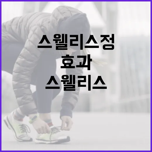 스웰리스정 활용법: 효과와 주의할 점 - 요약