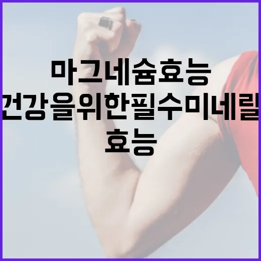 마그네슘 효능: 건강을 위한 필수 미네랄 사용법 - 요약