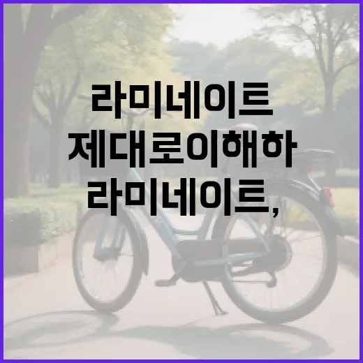 라미네이트, 정말 필요한가요? 제대로 이해하는 방법 - 요약