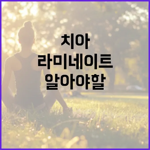 커큐민 효능을 알아보고 건강하게 사는 방법 - 요약