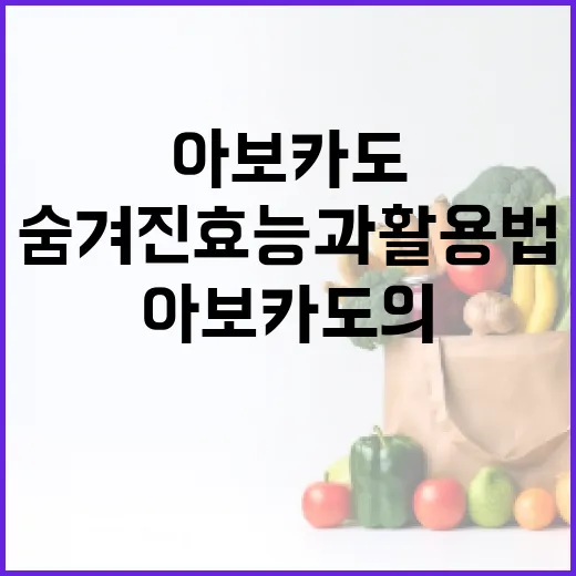 아보카도의 숨겨진 효능과 활용법 - 요약