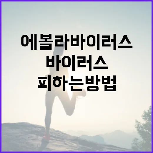 에볼라바이러스를 안전하게 피하는 방법 - 요약