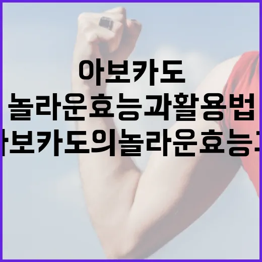 아보카도의 놀라운 효능과 활용법 - 요약