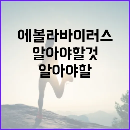 에볼라바이러스에 대해 알아야 할 것들 - 요약