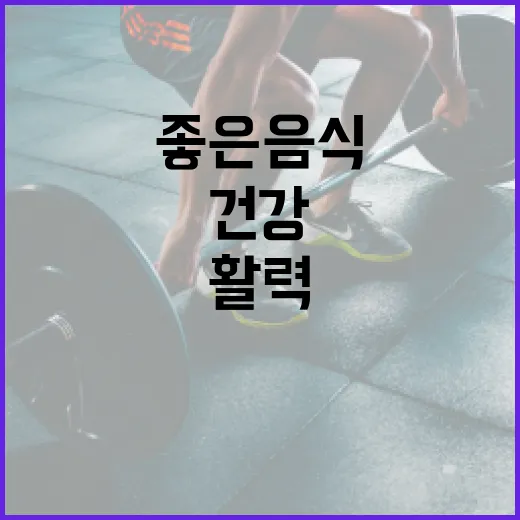 간 건강에 좋은 음식으로 활력을 되찾는 방법 - 요약