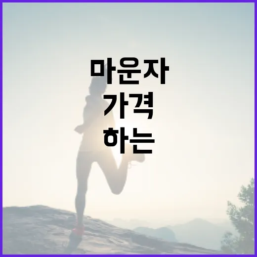 마운자를 선택할 때 가격을 고려해야 하는 이유 - 요약