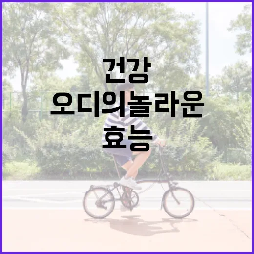 오디의 놀라운 건강 효능, 이렇게 활용해보세요! - 요약