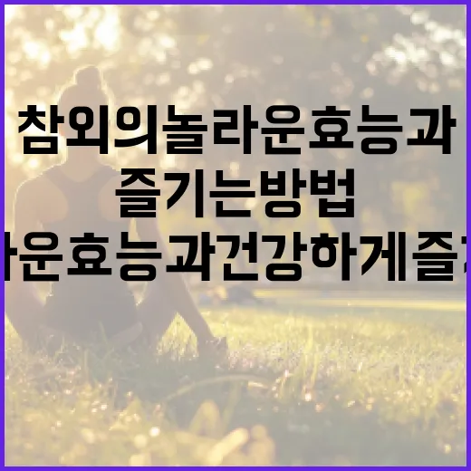 참외의 놀라운 효능과 건강하게 즐기는 방법 - 요약