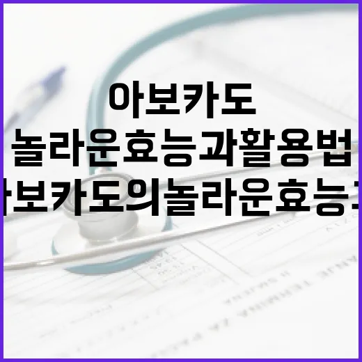 아보카도의 놀라운 효능과 활용법 - 요약