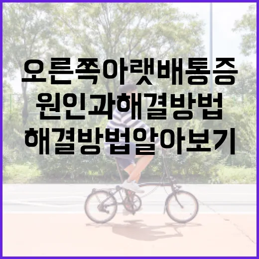 오른쪽 아랫배 통증, 원인과 해결 방법 알아보기 - 요약