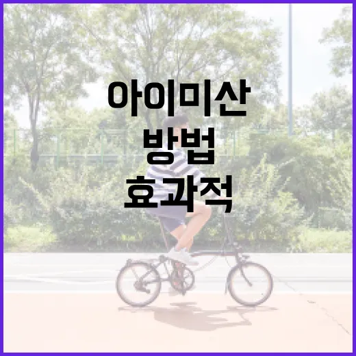 아이미산을 효과적으로 활용하는 방법 - 요약