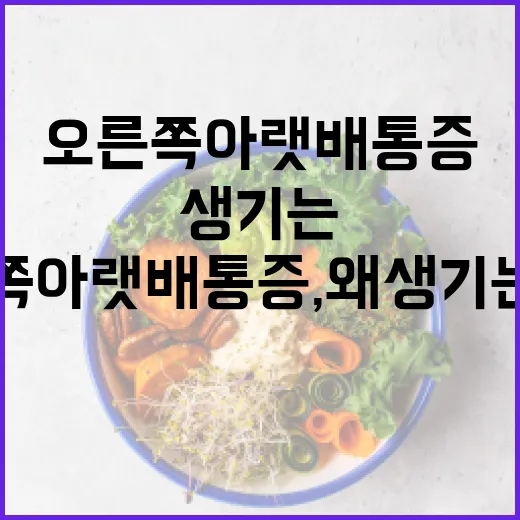 오른쪽 아랫배 통증, 왜 생기는 걸까요? - 요약