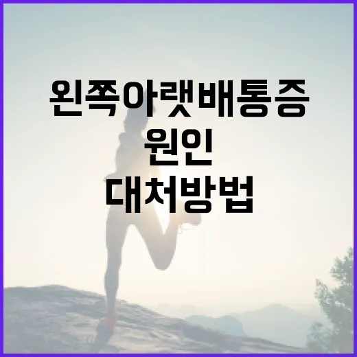 왼쪽 아랫배 통증: 알아두면 좋은 원인과 대처 방법 - 요약