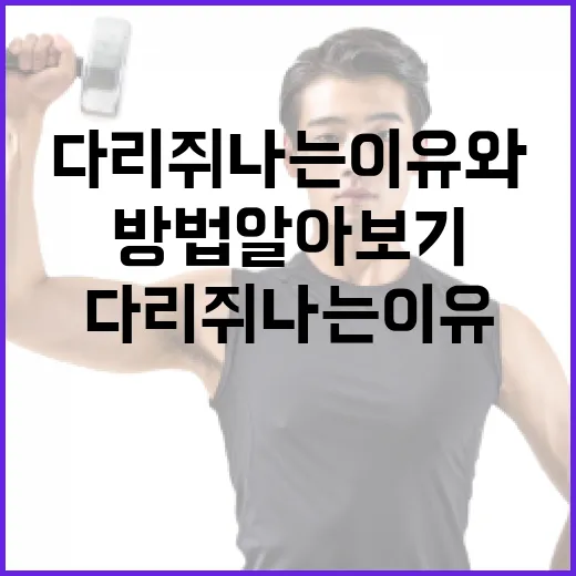 다리 쥐나는 이유와 그 해결 방법 알아보기 - 요약