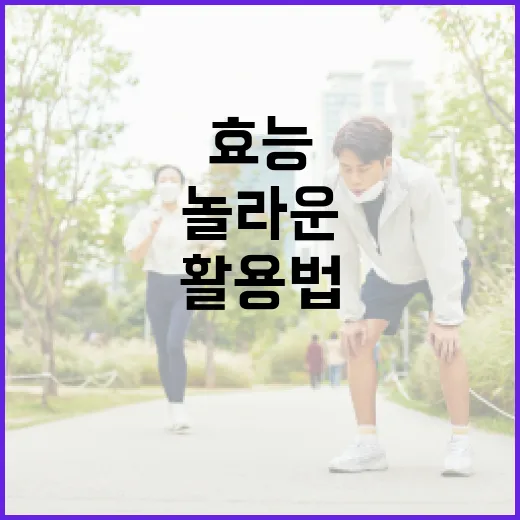 마그네슘의 놀라운 효능과 활용법 - 요약