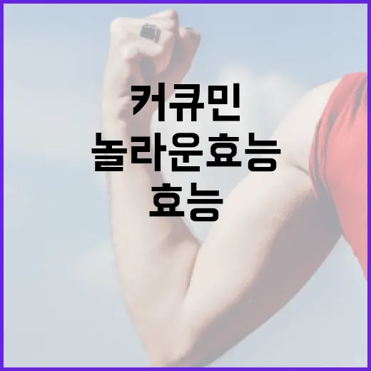 커큐민의 놀라운 효능, 놓치지 마세요! - 요약