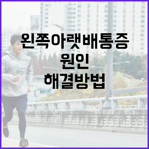 왼쪽 아랫배 통증, 원인과 해결 방법 알아보기 - 요약
