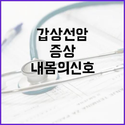 갑상선암 증상 알아보기: 내 몸의 신호 놓치지 않기 - 요약