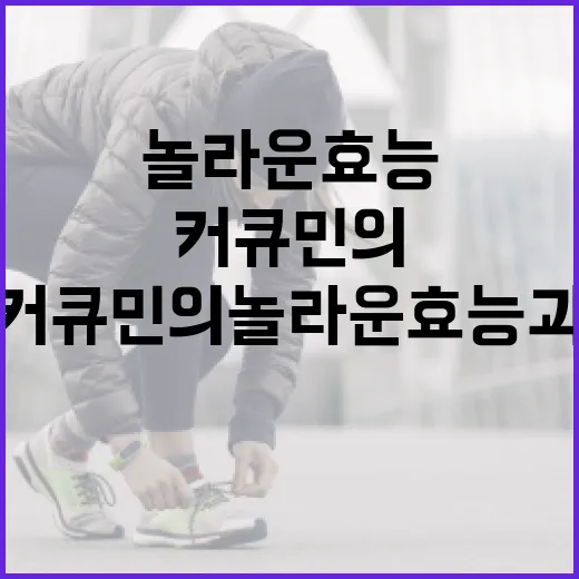 커큐민의 놀라운 효능과 활용 방법 - 요약