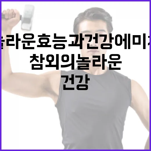 참외의 놀라운 효능과 건강에 미치는 영향 - 요약