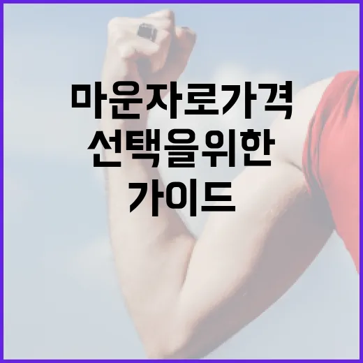 마운자로 가격 알아보기: 합리적인 선택을 위한 가이드 - 요약
