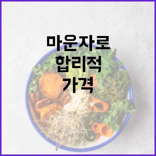 마운자로 가격, 합리적으로 알아보는 방법 - 요약