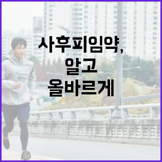 사후피임약, 올바르게 알고 사용하는 방법 - 요약