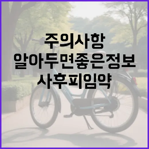 사후피임약 사용법과 주의사항: 알아두면 좋은 정보 - 요약