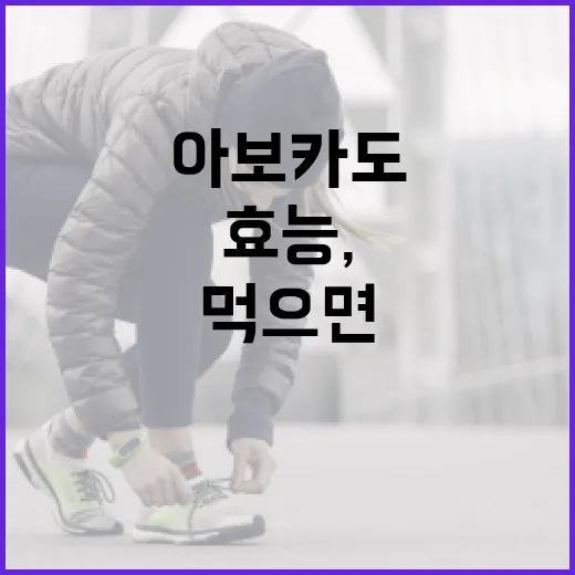 아보카도의 놀라운 효능, 알고 먹으면 더 좋다! - 요약