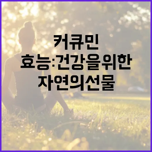 커큐민 효능: 건강을 위한 자연의 선물 - 요약