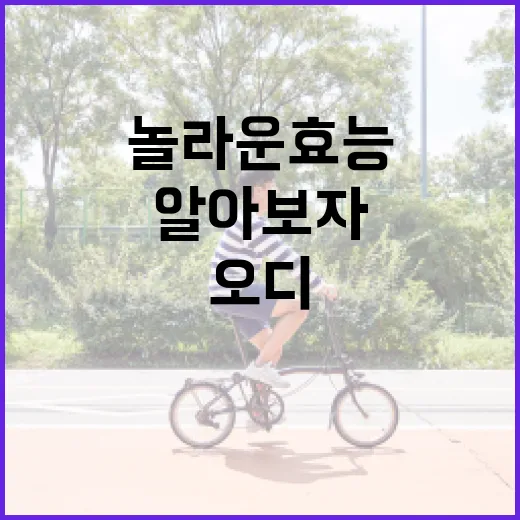 오디의 놀라운 효능을 알아보자: 자연이 준 선물 - 요약