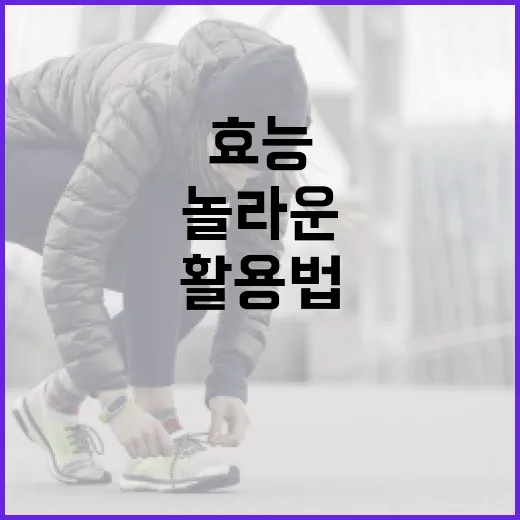 마그네슘의 놀라운 효능과 활용법 - 요약