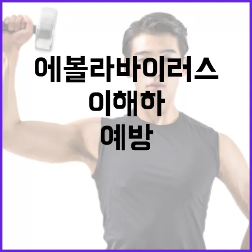 에볼라바이러스를 이해하고 예방하는 방법 - 요약