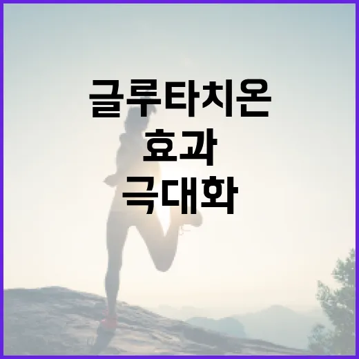 글루타치온 효과를 극대화하는 방법 - 요약