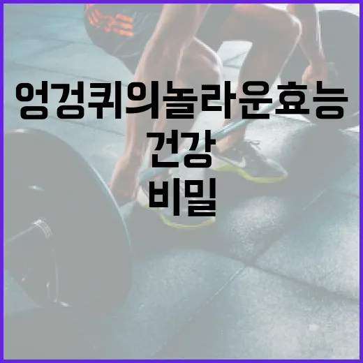 엉겅퀴의 놀라운 효능: 자연이 주는 건강 비밀 - 요약