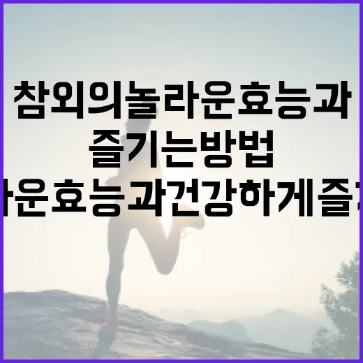 참외의 놀라운 효능과 건강하게 즐기는 방법 - 요약