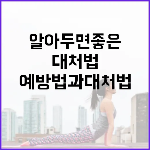 에볼라바이러스: 알아두면 좋은 예방법과 대처법 - 요약