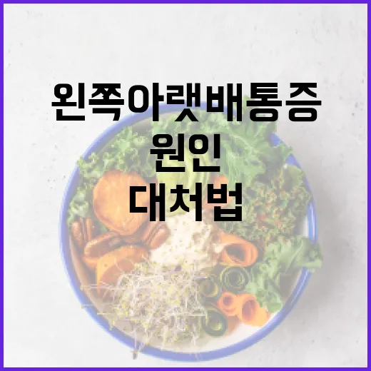왼쪽 아랫배 통증: 알아두면 좋은 원인과 대처법 - 요약
