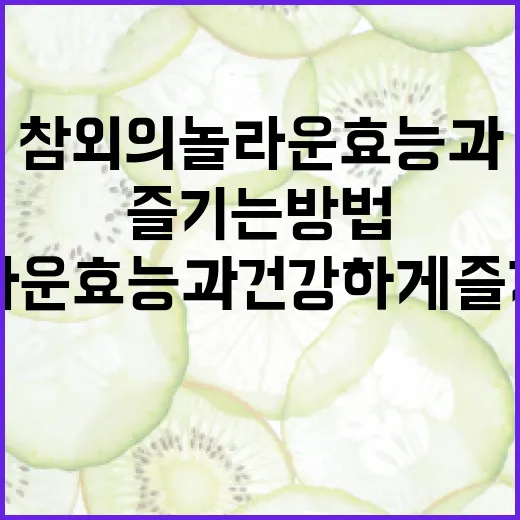 참외의 놀라운 효능과 건강하게 즐기는 방법 - 요약