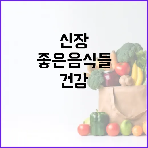 신장을 건강하게! 매일 먹기 좋은 음식들 - 요약