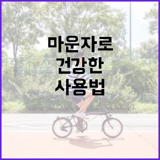 마운자로 사용법: 건강한 일상의 시작 - 요약