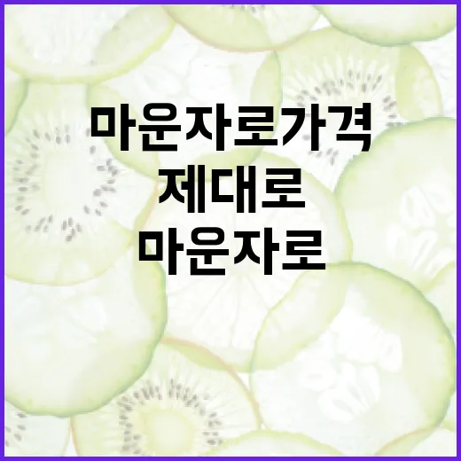 마운자로 가격 제대로 이해하는 법 - 요약