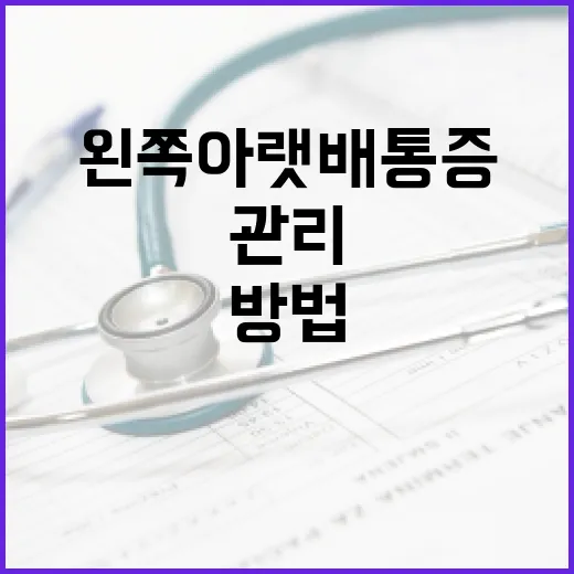 왼쪽 아랫배 통증을 이해하고 관리하는 방법 - 요약