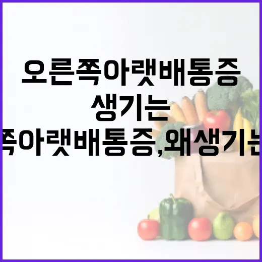 오른쪽 아랫배 통증, 왜 생기는 걸까요? - 요약