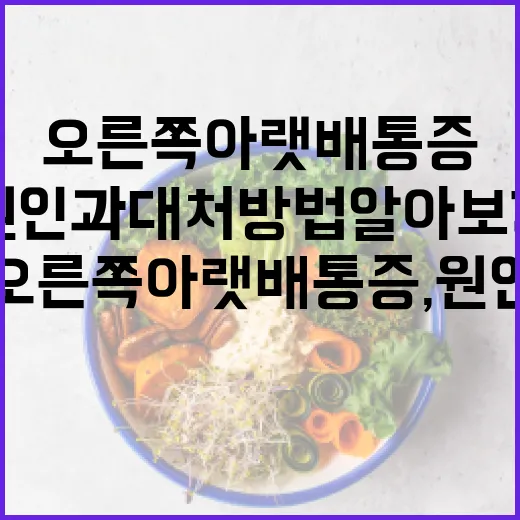 오른쪽 아랫배 통증, 원인과 대처 방법 알아보기 - 요약